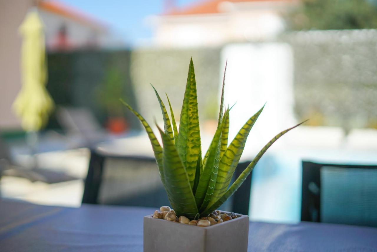 Villa Sanda With Private Pool Zadar Ngoại thất bức ảnh