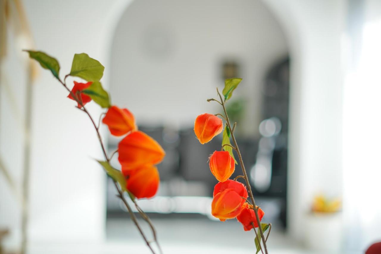 Villa Sanda With Private Pool Zadar Ngoại thất bức ảnh